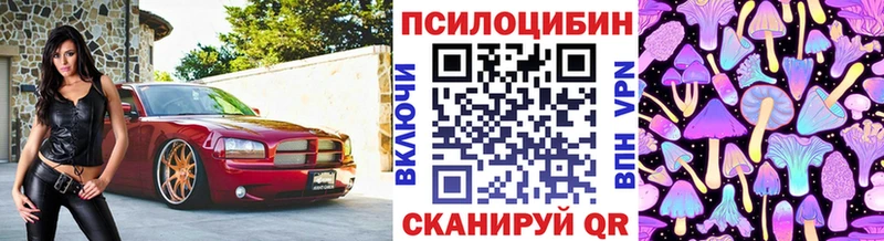 Галлюциногенные грибы Cubensis  закладка  MEGA как зайти  Сертолово 