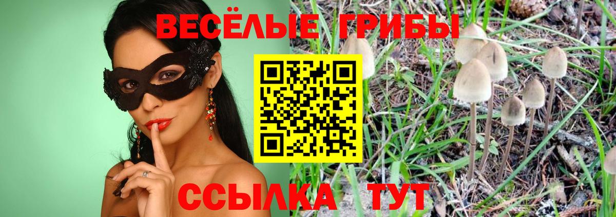 Псилоцибиновые грибы Magic Shrooms  Вход с VPN  Сертолово 