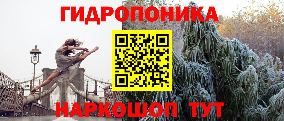 Каннабис гибрид  Бошки марихуана семена  Вход с VPN  МАРИХУАНА THC 21%  Сертолово 